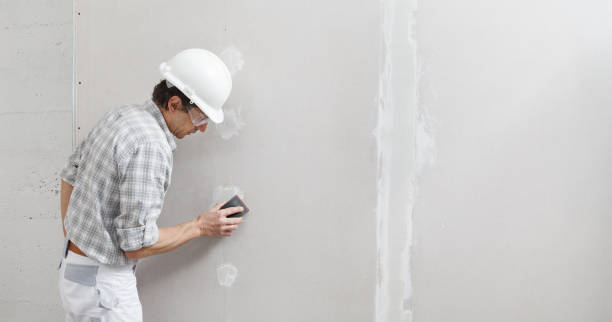 Trusted Langley, WA Mold Removal Experts