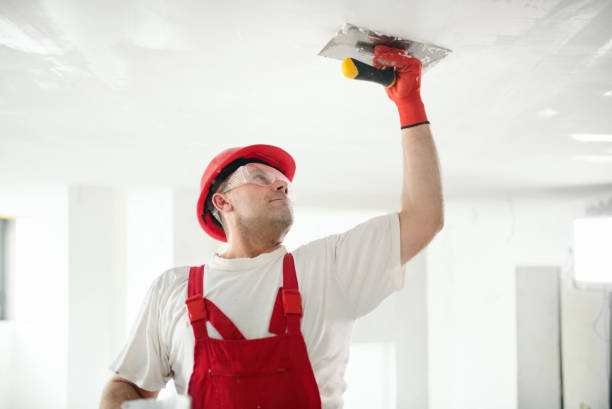 Mold Remediation for Rental Properties